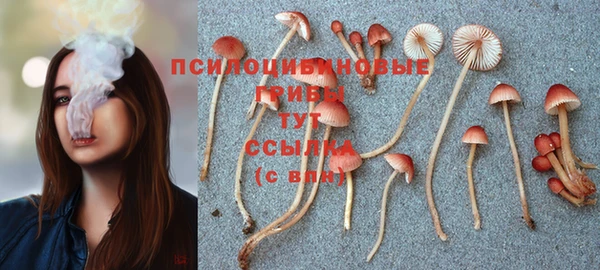 Альфа ПВП Богородск